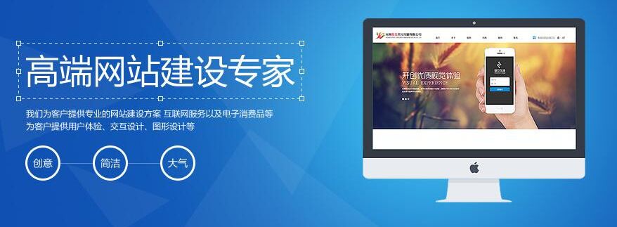 枸杞红枣搭配养生宝，提升免疫力，疾病远离你我他